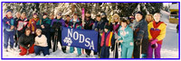 NODSA2